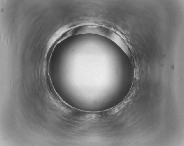 X0000087750152200705211046