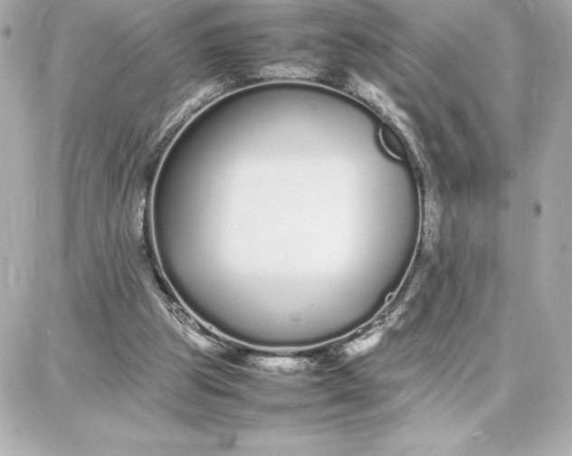 X0000087750153200705211046