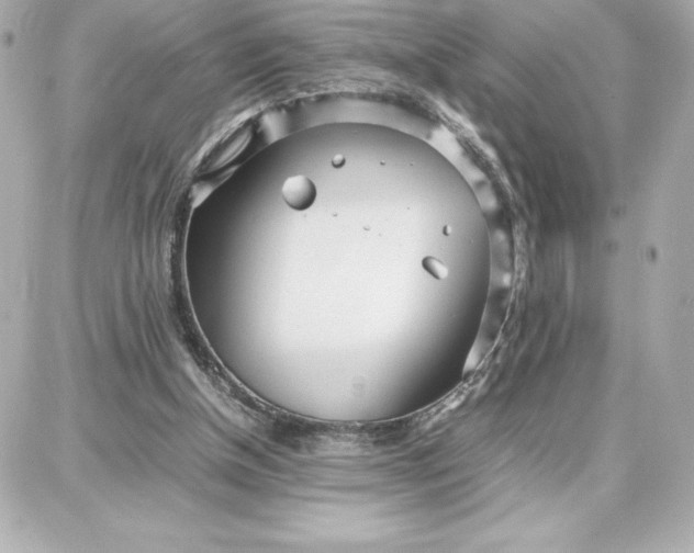 X0000087750154200705211046