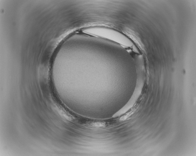 X0000087750156200705211046