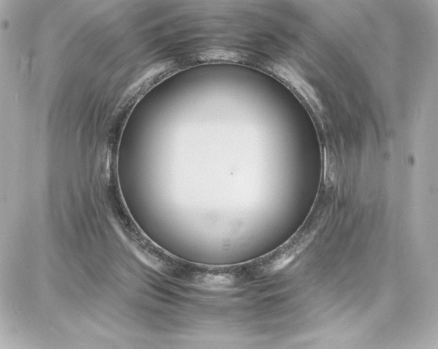 X0000087750157200705211046