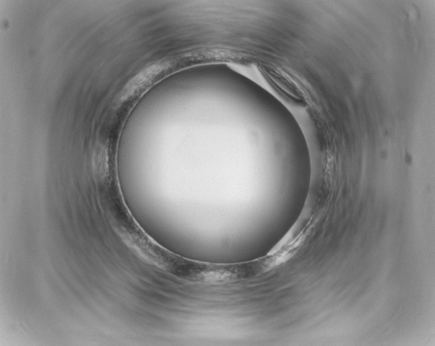 X0000087750158200705211046