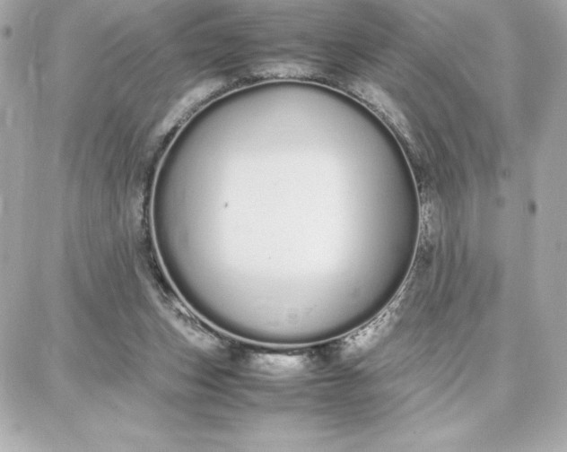 X0000087750159200705211046