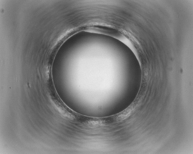 X0000087750160200705211046