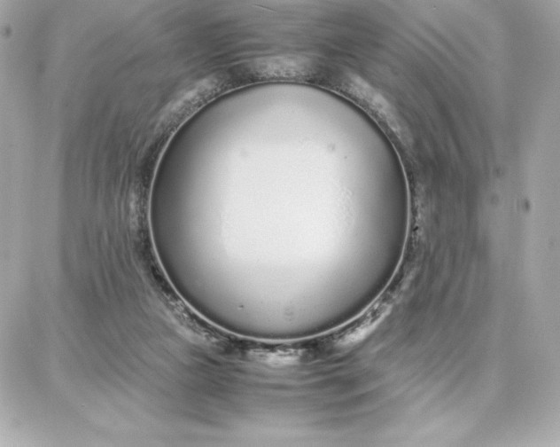 X0000087750161200705211046