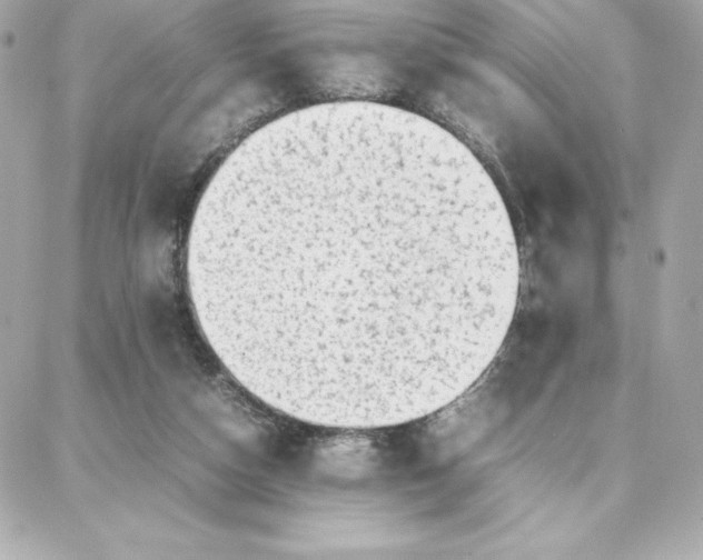 X0000087750162200705211046