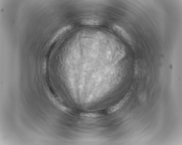 X0000087750163200705211046