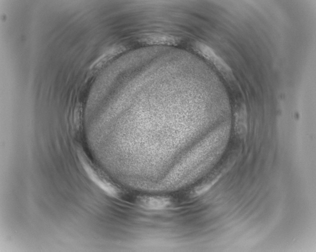 X0000087750165200705211046