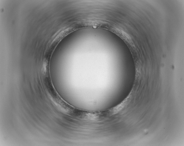 X0000087750166200705211046