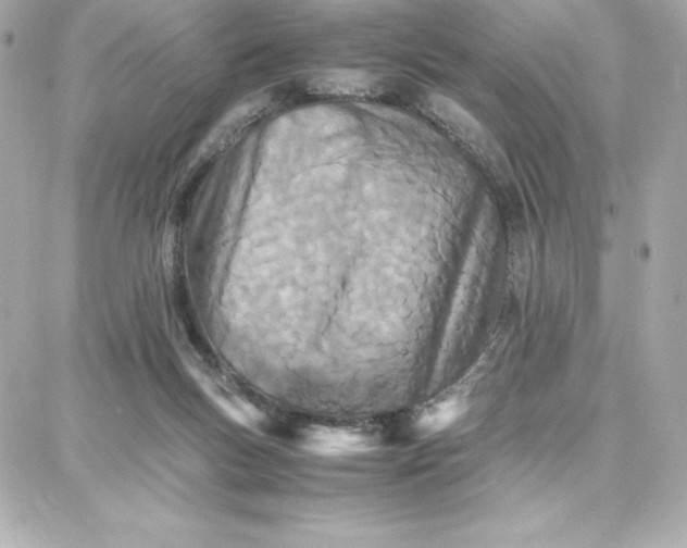 X0000087750167200705211046