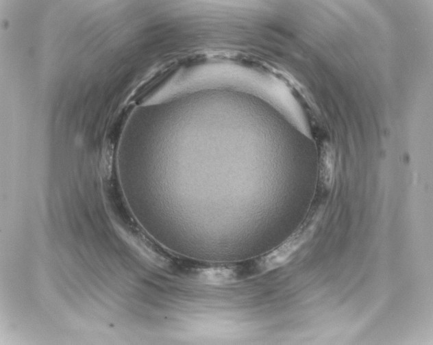 X0000087750168200705211046