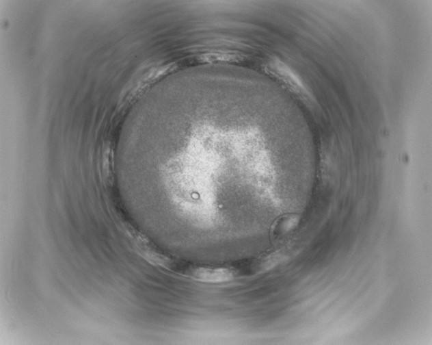 X0000087750169200705211046