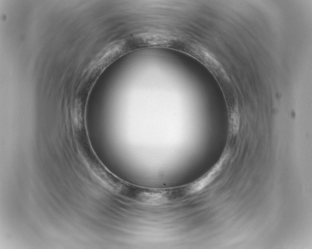 X0000087750170200705211046