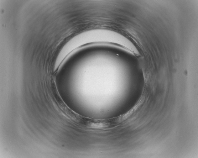 X0000087750171200705211046