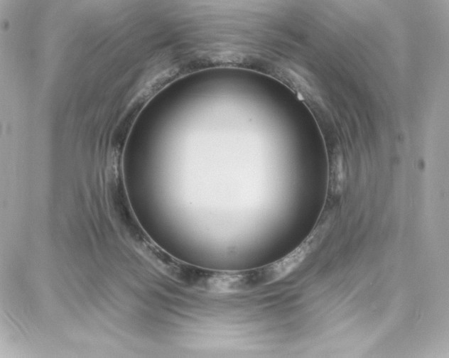 X0000087750172200705211046