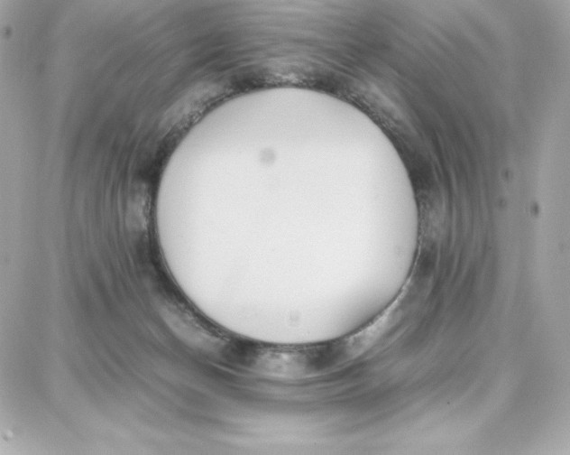 X0000087750174200705211046