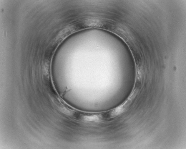 X0000087750175200705211046