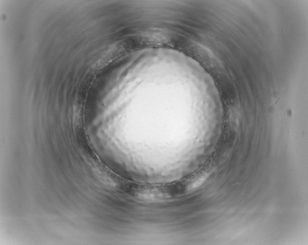 X0000087750177200705211046