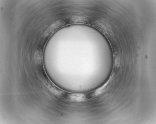 X0000087750179200705211046