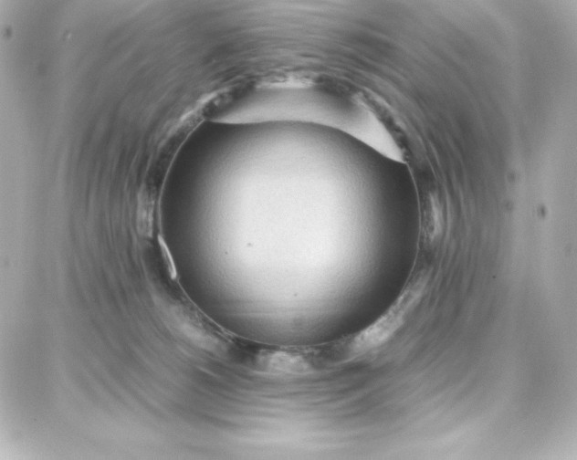 X0000087750180200705211046