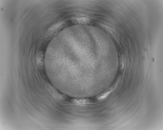 X0000087750181200705211046