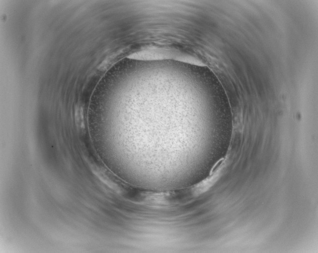 X0000087750182200705211046