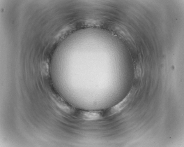 X0000087750183200705211046