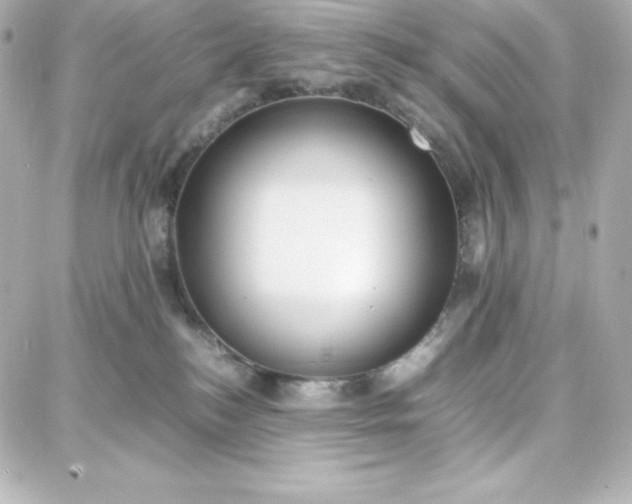 X0000087750184200705211046