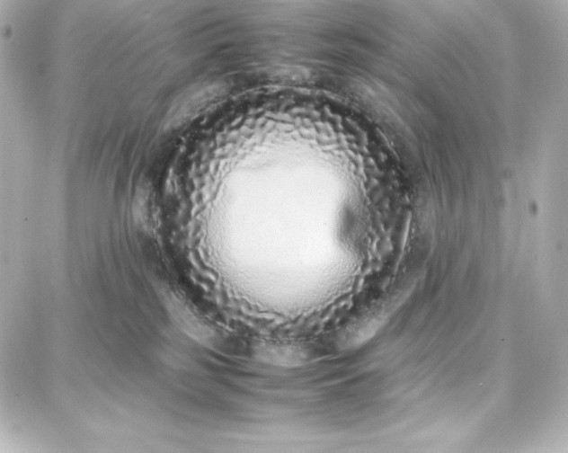 X0000087750185200705211046