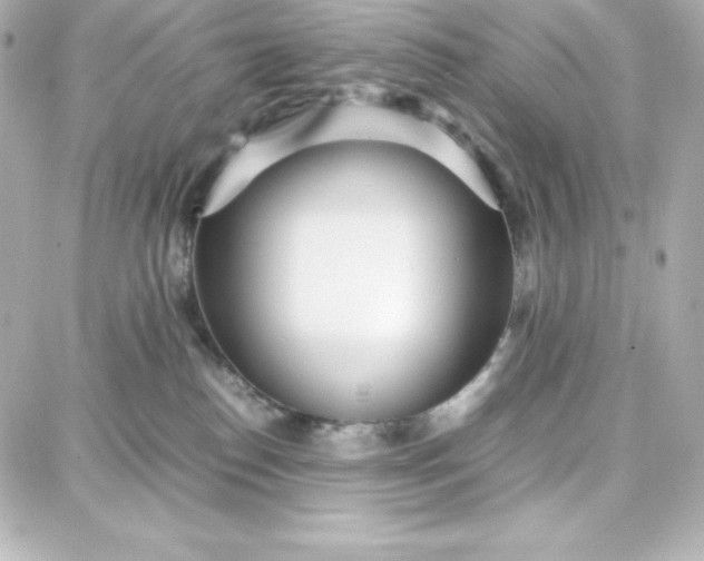 X0000087750186200705211046