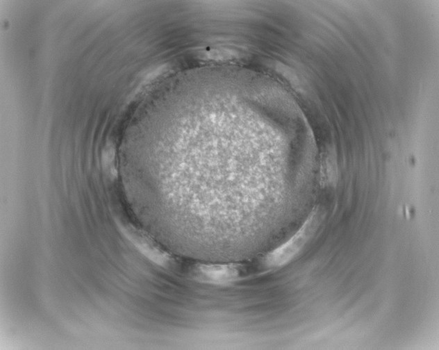 X0000087750187200705211046