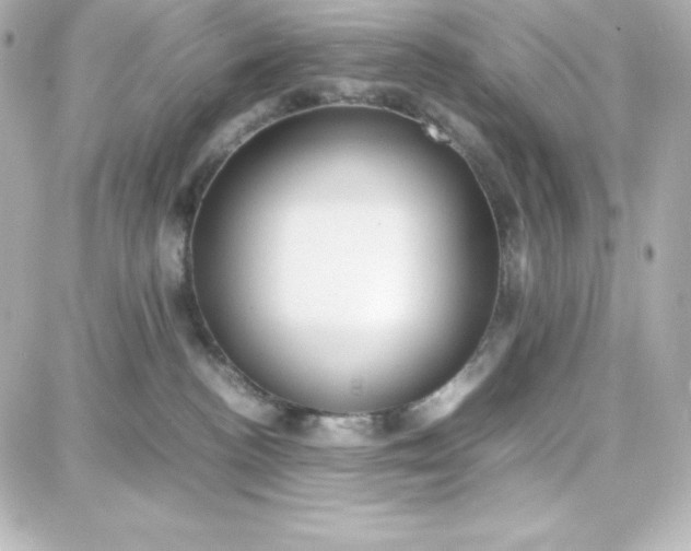 X0000087750188200705211046