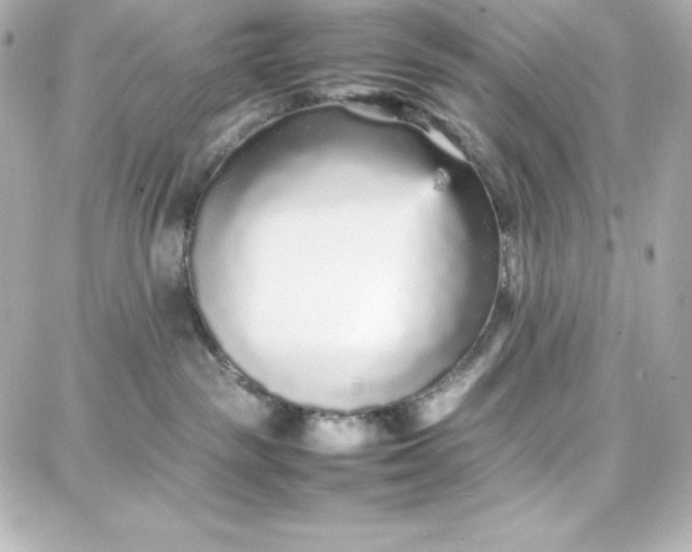 X0000087750189200705211046