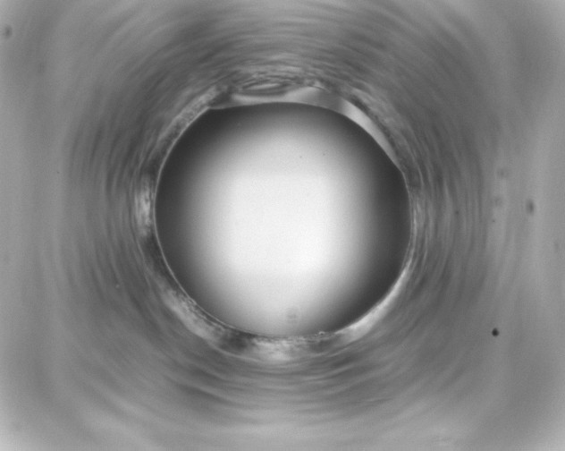 X0000087750190200705211046