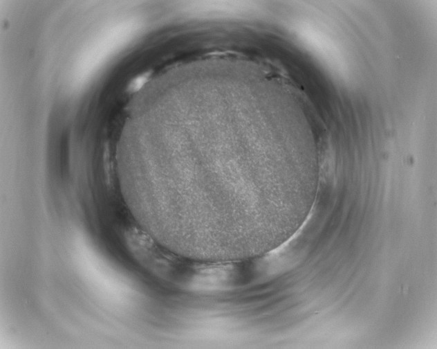 X0000087750191200705211046