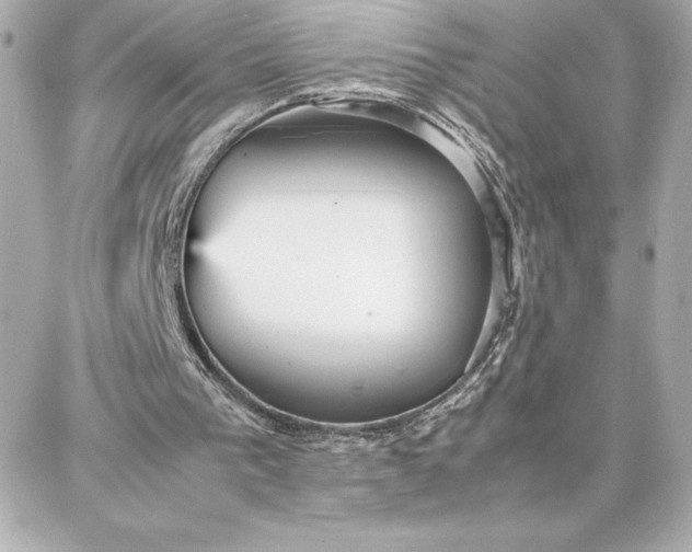 X0000087750193200705211046