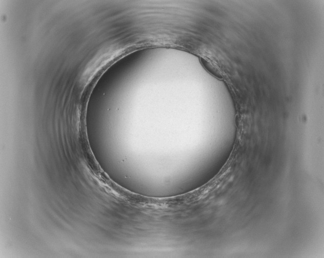 X0000087750194200705211046