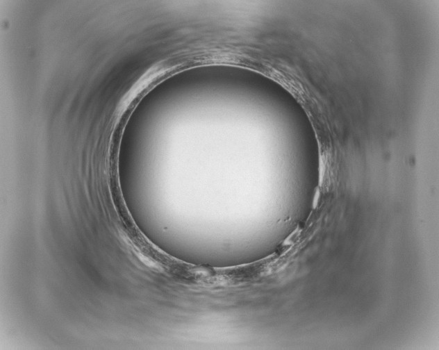 X0000087750195200705211046