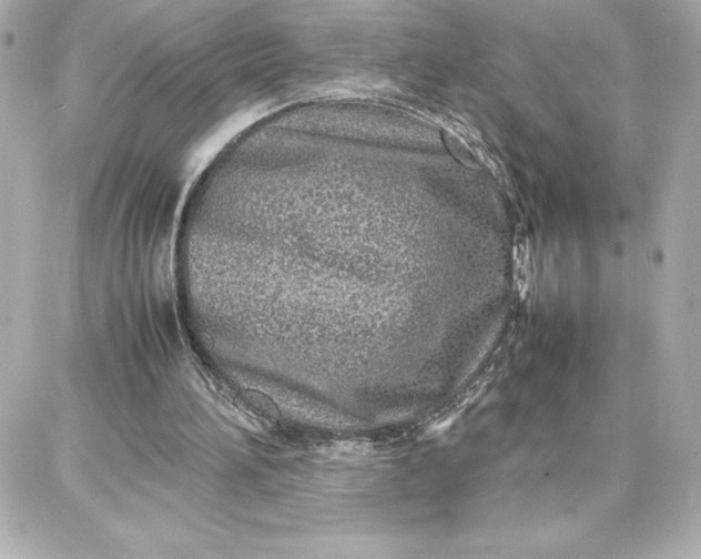 X0000087750196200705211046