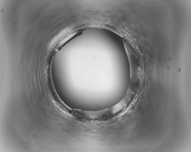 X0000087750197200705211046