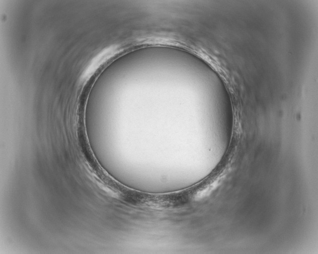 X0000087750199200705211045