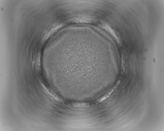 X0000087750202200705211045