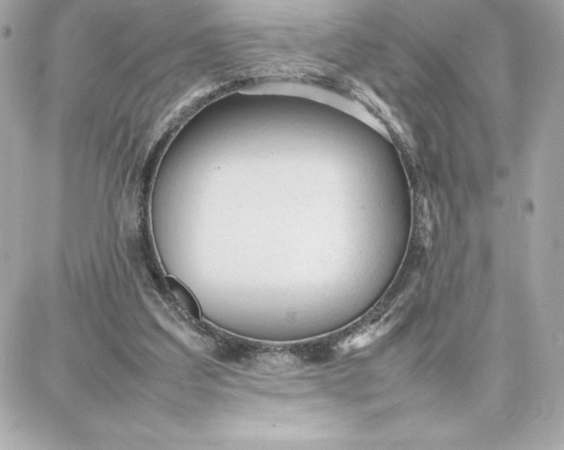 X0000087750203200705211045