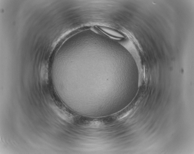 X0000087750204200705211045