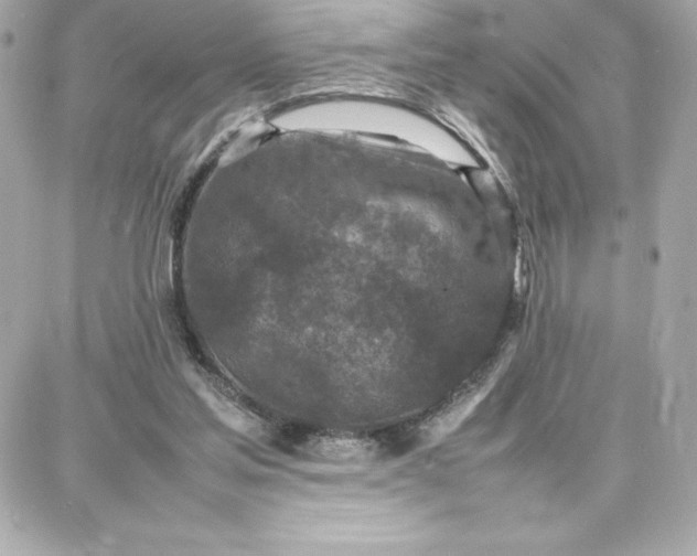 X0000087750205200705211045