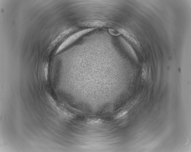 X0000087750206200705211045