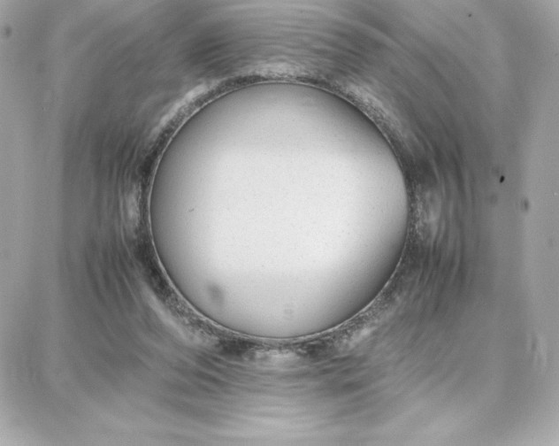 X0000087750208200705211045