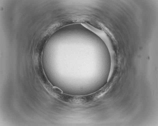 X0000087750209200705211045