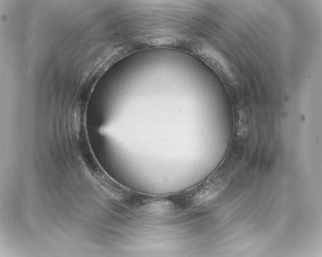 X0000087750210200705211045