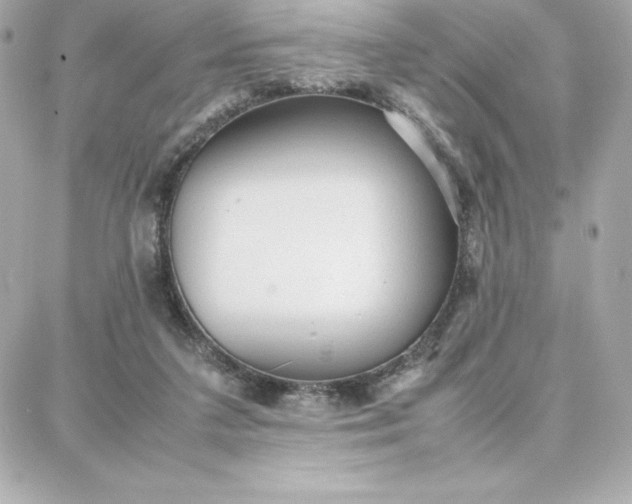 X0000087750211200705211045